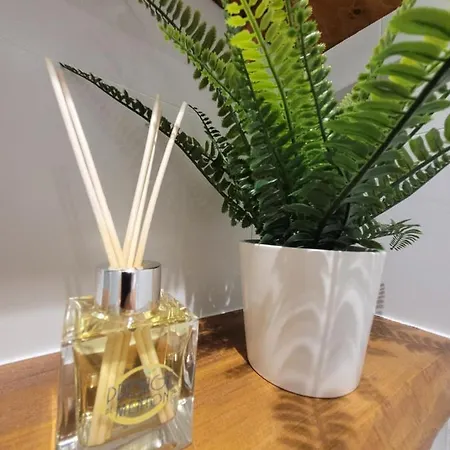 Au Coeur Du Citron * Menton