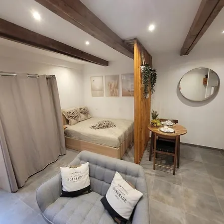 Au Coeur Du Citron Apartmán Menton